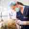 Igiene dentale Brindisi Pulizia denti dentista Centro Dentistico San Lorenzo Brindisi impianti dentali